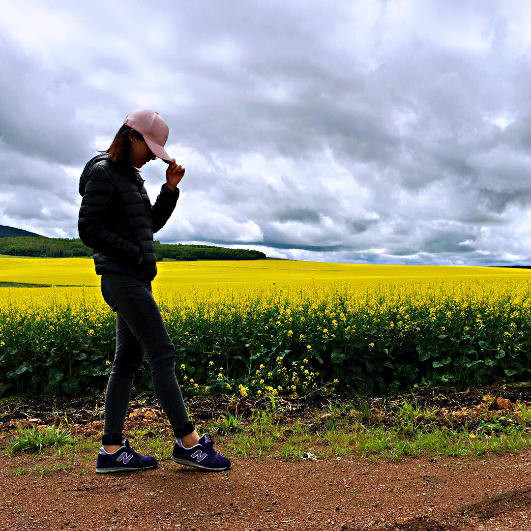 80岁夫妻自驾游视频全集,自驾游全国攻略44天