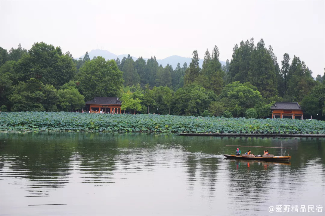杭州3天2夜｜西子湖畔，脚步丈量这座底蕴深厚的城-爱野精品民宿