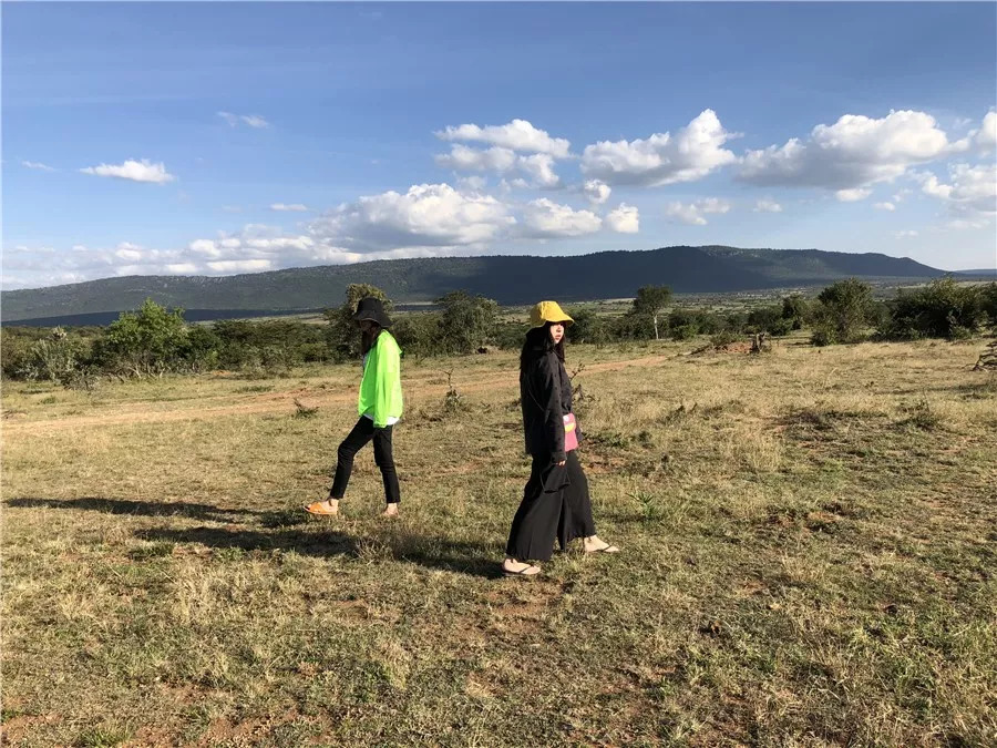 肯尼亚│我没有错过非洲，错过动物大迁徙