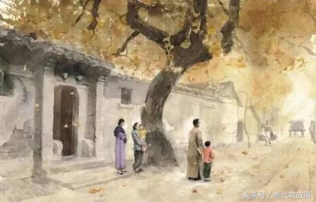 老舍笔下的北平,才是北京人记忆中的北京!