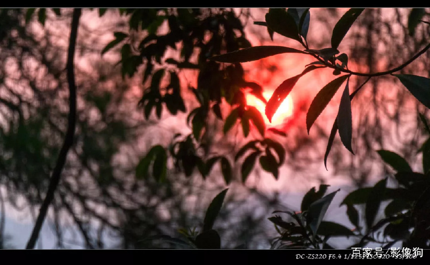 徕卡c-lux7值得入手吗,徕卡x和徕卡c