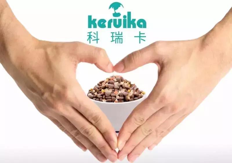 猫咪得猫癣猫该怎么办,猫咪长猫癣要怎么弄