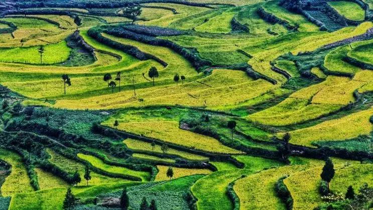 国内最美的十大海滨城市,国内最撩人的20个金秋童话