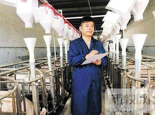 养殖业如何带领村民致富,农村种植养殖致富带头人