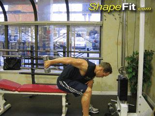 新手哑铃健身一周训练计划,新人健身房健身一周训练计划