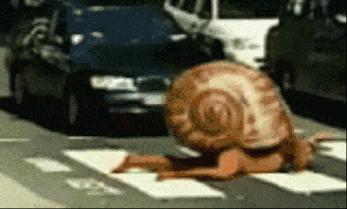 鎶ュ憡鑰佸笀缈昏溅鐜板満,鎶ュ憡鑰佸笀琚墦鍚庣画