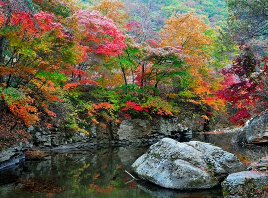 赏枫踏水才是东北秋季的正确打开方式