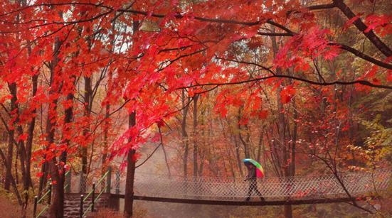 赏枫踏水才是东北秋季的正确打开方式