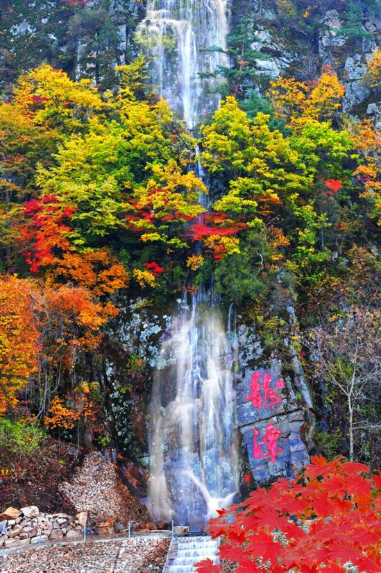 赏枫踏水才是东北秋季的正确打开方式