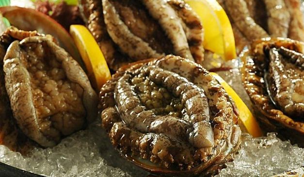 泰国商家将鲍鱼卖成了白菜价，中国游客表示：还要“作”？