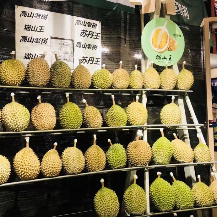 一门之隔却是两个世界,一门之隔两个世界意思