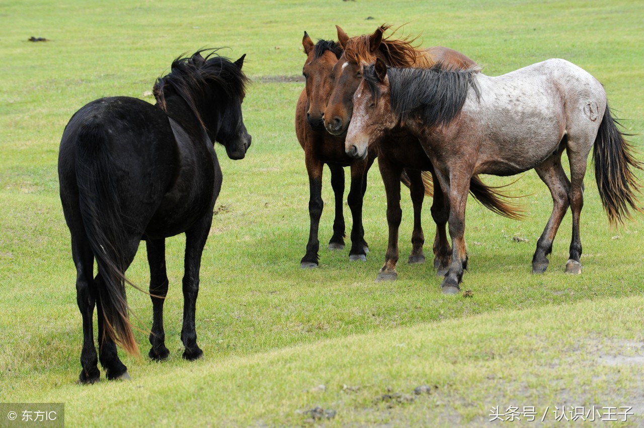 二年级上植物妈妈靠什么传播种子,二年级语文植物妈妈有办法朗诵