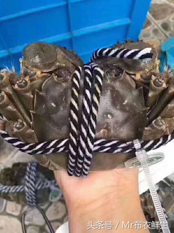 电商法微商,电商法微商怎么办执照