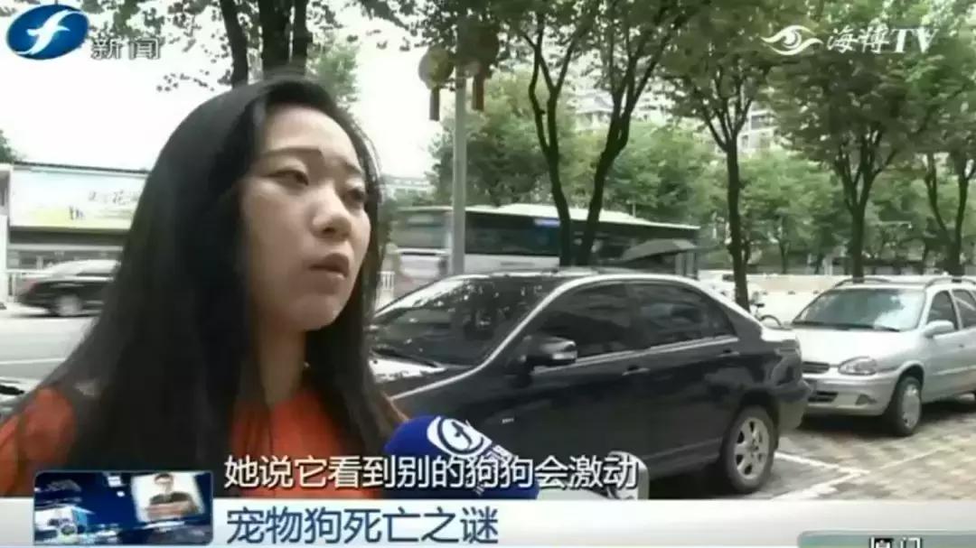 宠物店签订协议寄养死了怎么赔偿,为什么幼犬会在一夜之间莫名死亡