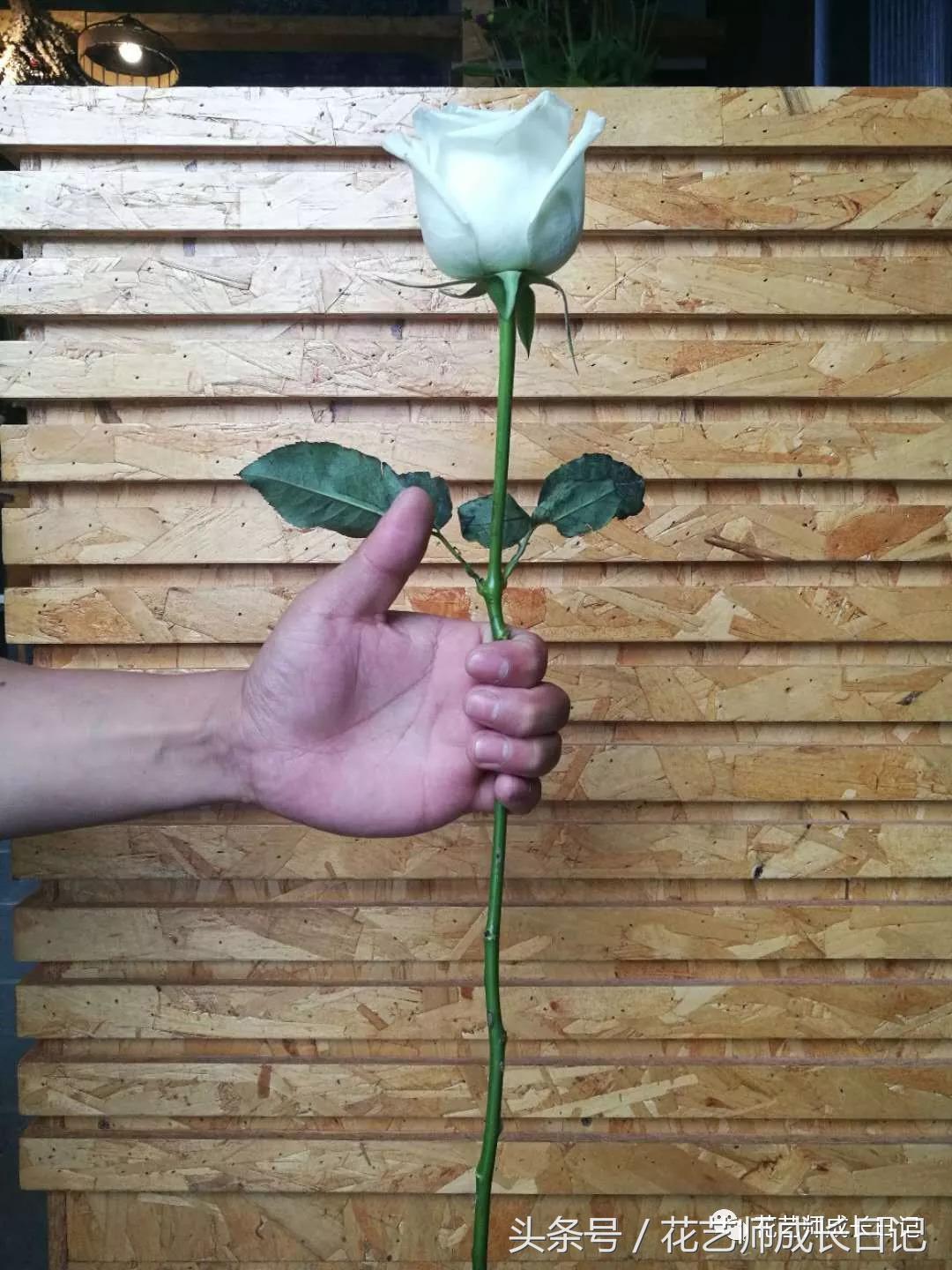 想当花艺师怎么自学,如何成为一个花艺师