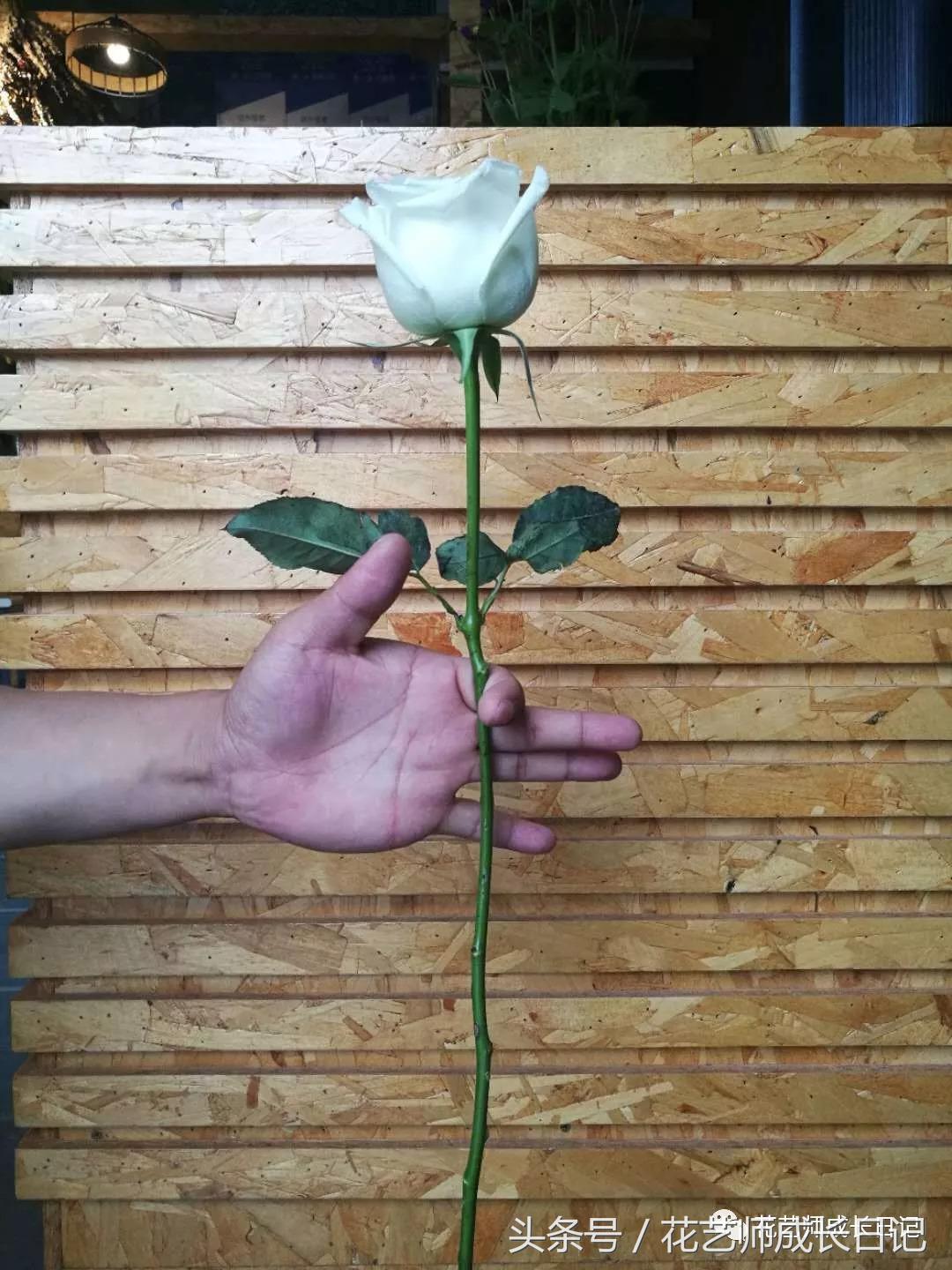 想当花艺师怎么自学,如何成为一个花艺师