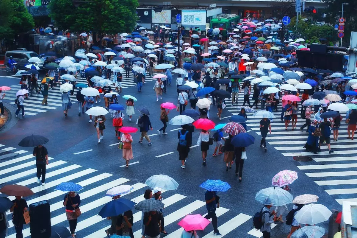 生活在别处~高冷文青携呆萌侄子游日本（攻略篇）
