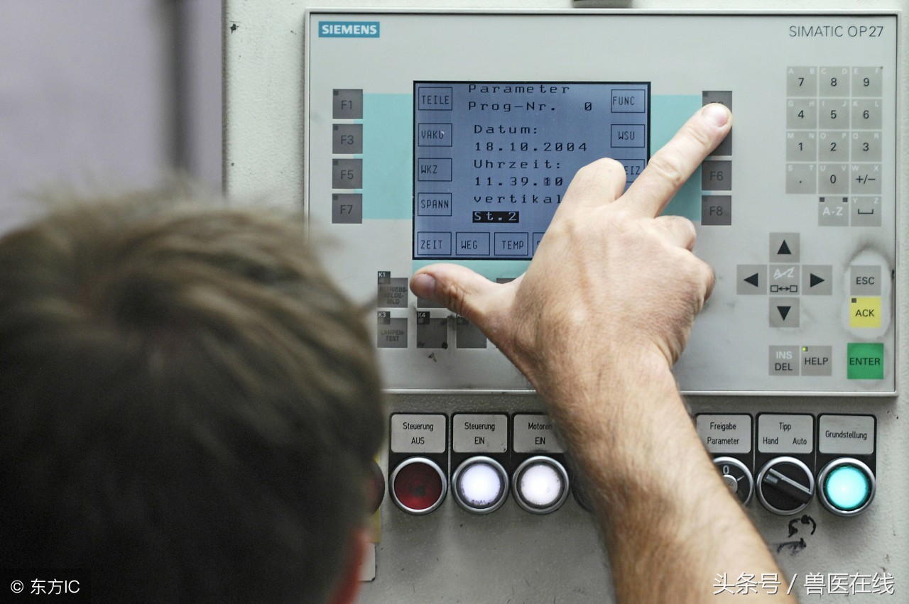 猪场最实用的养猪知识大全,猪场基本养猪知识大全