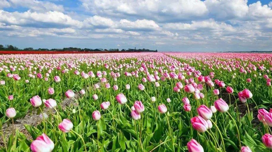 在阳原能做到什么,阳原旅游攻略自由行