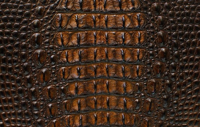 皮具知识,皮具包包知识