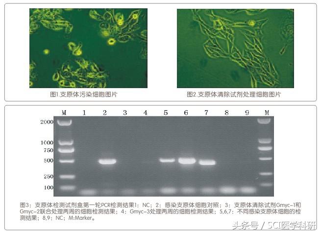 谈“污”色变？专“治”养细胞人之痛，鉴污宝典请收好