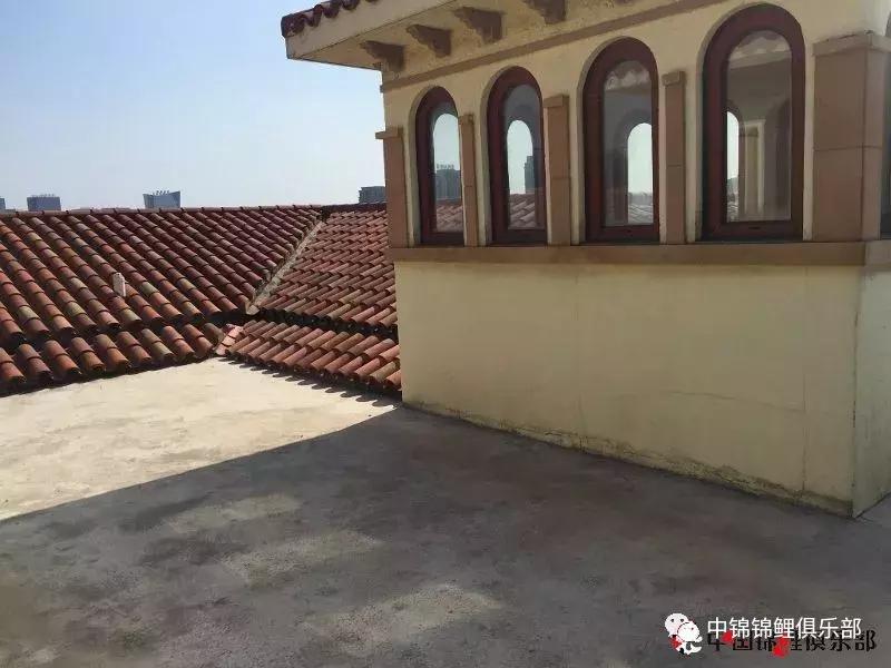 楼顶鱼池有哪些,屋顶鱼池的建造方法