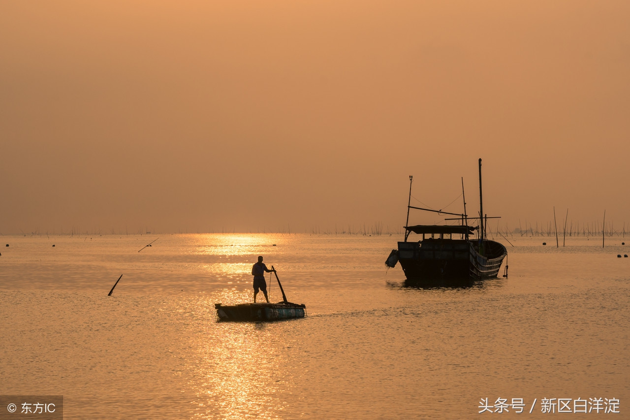 白洋淀渔民绝技——夫妻摇船扎花篮，鲤鱼溜走鲂鱼上来