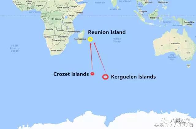 银鳕鱼延绳钓,长钩柄鱼钩钓鲫鱼