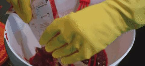 明明是科普纪录片，主持人却用自己的血做起了“暗黑美食”