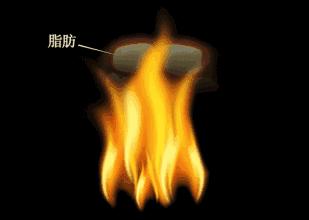 我强烈不建议你买这个代购都抢疯了，风靡全澳洲的网红爆款