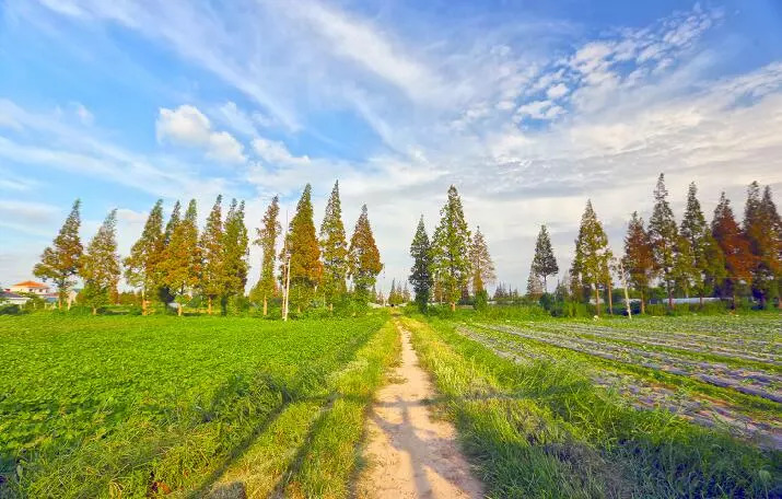 崇明旅游小镇,印象崇明岛