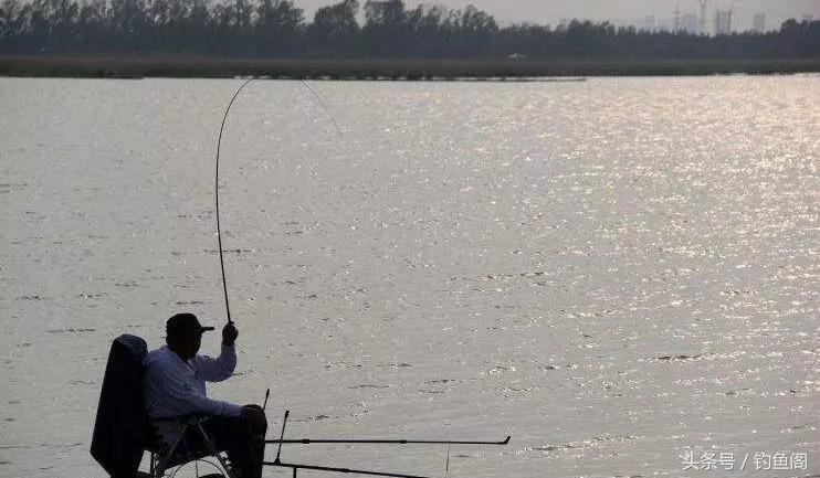 初学者如何选一条好的鱼竿,如何选择鱼竿最合适