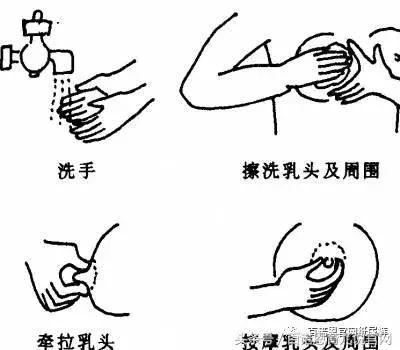 急性乳腺炎挂青霉素多久可以哺乳,哺乳的母兔得了急性乳腺炎怎么办