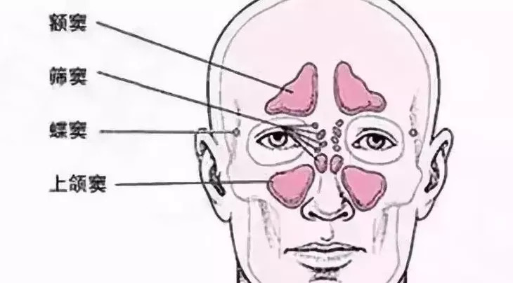 儿童鼻炎喷雾日本,日本儿童鼻炎神药