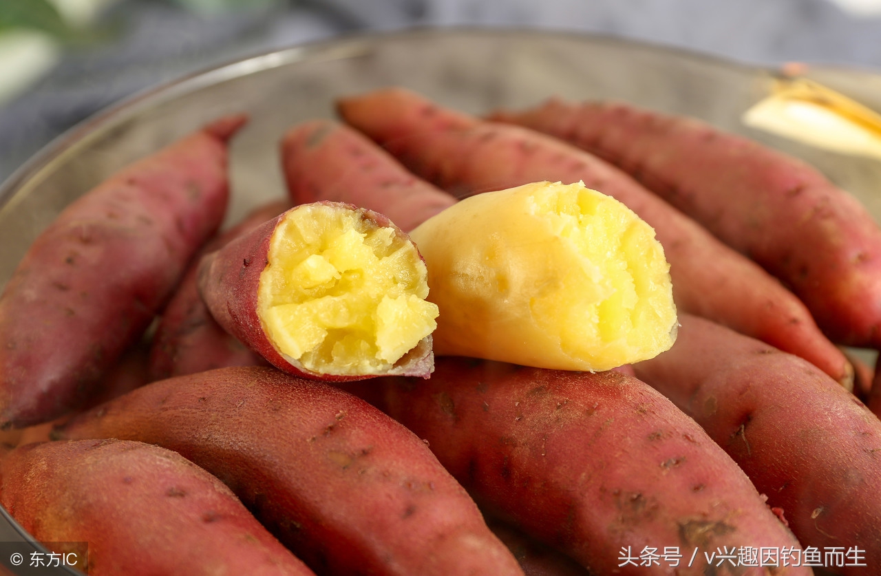 钓鳊鱼用什么饵料钓效果最好,钓鳊鱼商品饵料怎么选合适