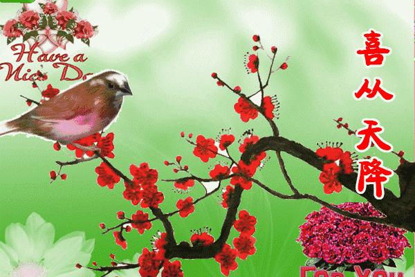 十月祝你天天开心,十月祝你事事顺心好运连连