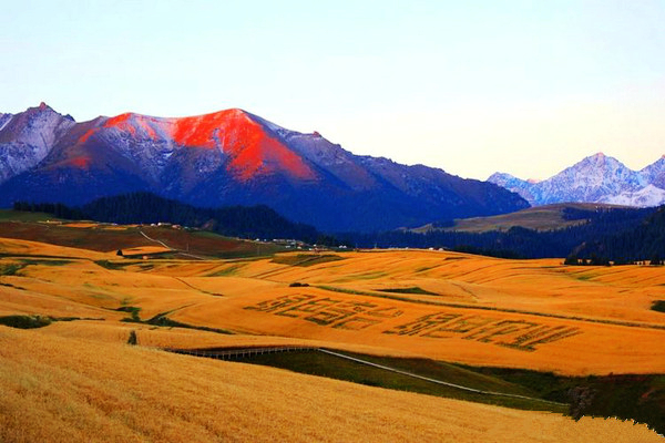 江布拉克的美景描述,风吹麦浪风景视频