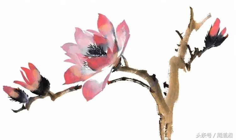 中国画颜料需要注意些什么,中国画颜料画教学