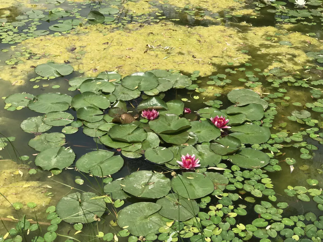 下站该往哪里去,下站了该去哪