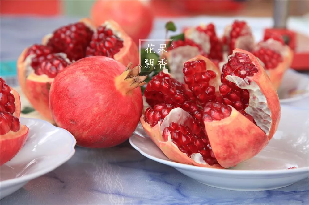 石榴界的网红软籽石榴,今日水果软籽石榴