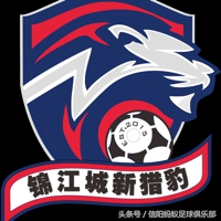 河南信阳蚂蚁足球俱乐部,河南信阳蚂蚁足球