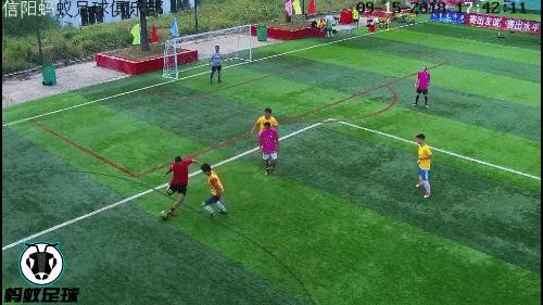 河南信阳蚂蚁足球俱乐部,河南信阳蚂蚁足球