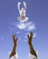 放生和不杀生也是布施吗,放生还是投食