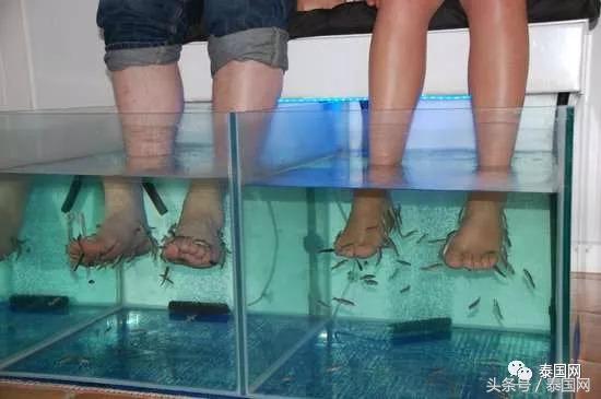 火遍全泰的这种“小鱼啃脚Spa”,你可知有多大健康风险?