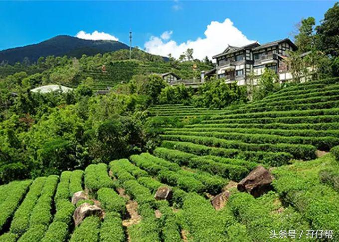 东部华侨城茶溪谷一日游,广东游记之深圳东部华侨城茶溪谷