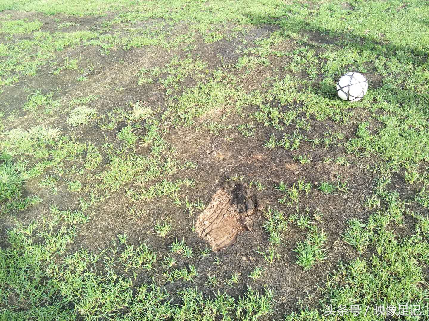 涓浗瓒冲崗濂宠冻鎯ㄨ触鑽峰叞,涓浗濂宠冻璁╀汉蹇冪柤