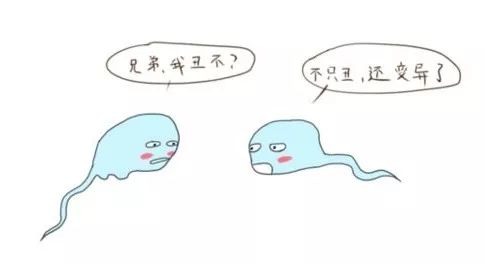 备孕指南不孕不育,备孕指南备孕有哪些注意事项呢