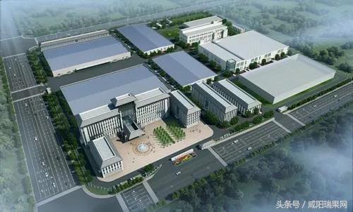 亲历者说纪录片预告,亲历者说的靠谱吗