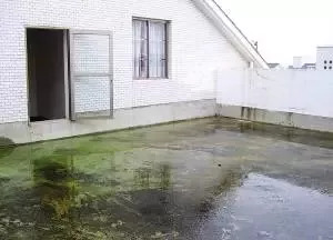 被蚊子咬了后起皮疹,蚊子咬后一大片红肿发硬体内缺啥