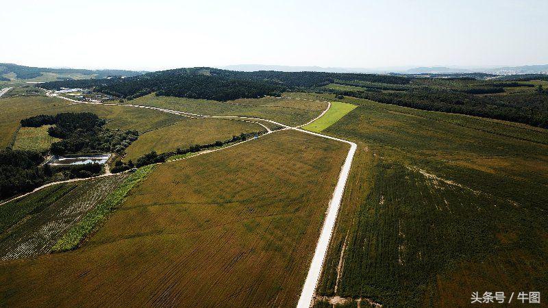 戚振林｜乳业教父郑俊怀和他的红星集团